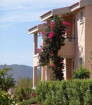 Autumn, Balcony / Terrace / Patio, Spring, Summer