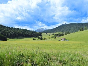 Activities, Autumn, Spring, Summer