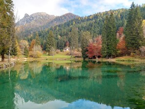 Activities, Autumn, Spring, Summer