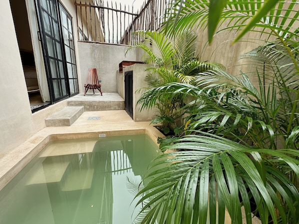 Terraza o patio