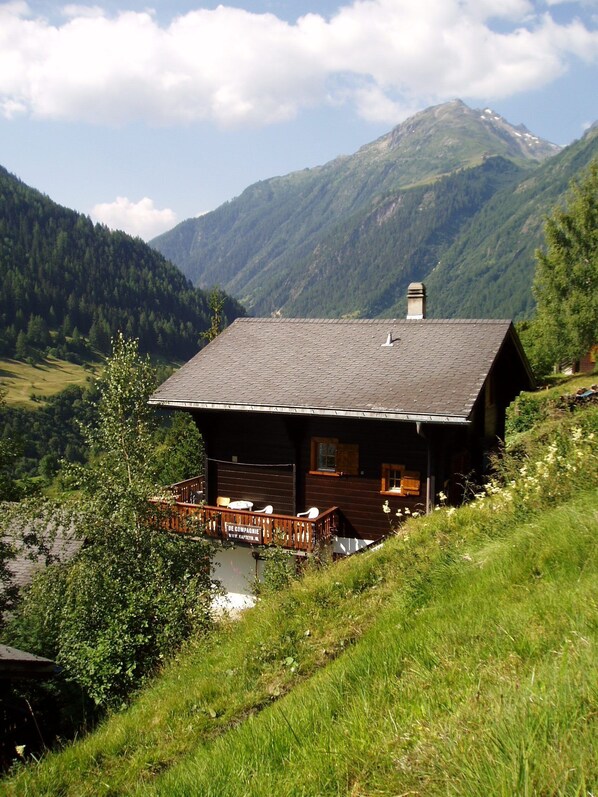 Exteriör