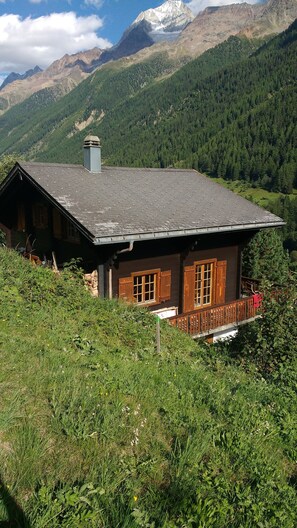 Exteriör