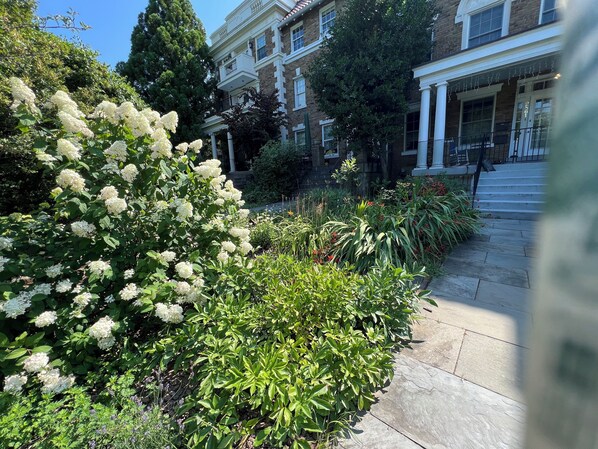 Front approach to house from street. Full garden.