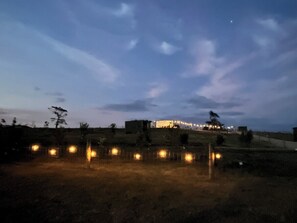 Festoon lights at dusk... Twinkle lights, twilight feels