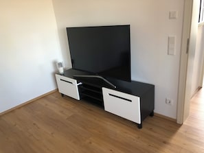 Television