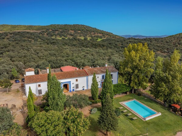 Welcome to the glorious Olive MIll in it's own forest