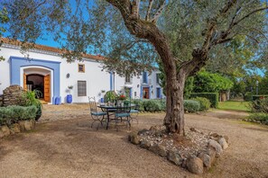 The Olive Mill