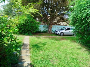 jardim