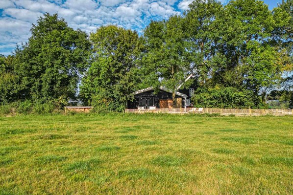 Stugans exteriör [sommar]