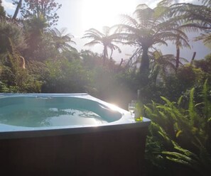 Outdoor spa tub