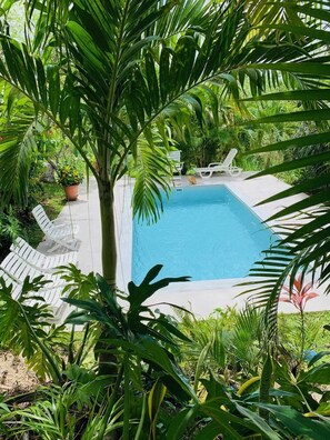 Swimming pool view