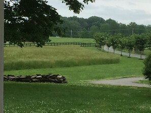 View of driveway entrance from main house 