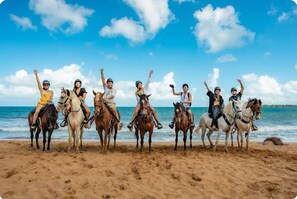 Paseos a caballo desde Hacienda Carabalí hasta la playa de Luquillo ($$)
