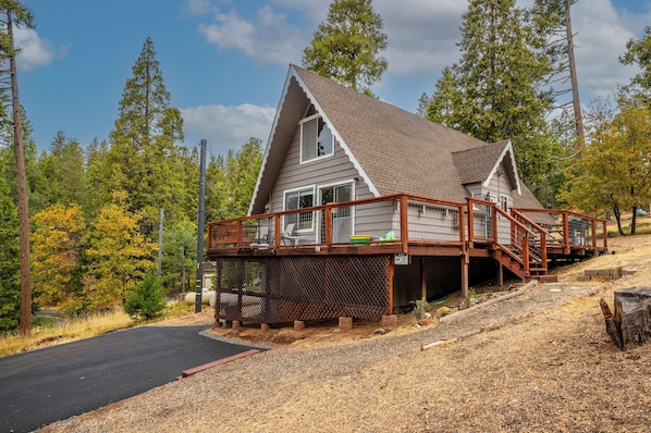 Welcome to the Cabin
