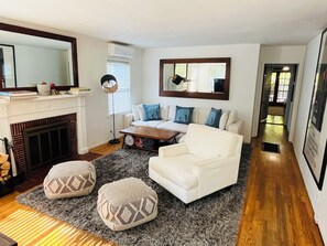 More of the most chill living room in Venice