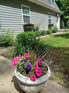We love flowers!  Summer beauty is here