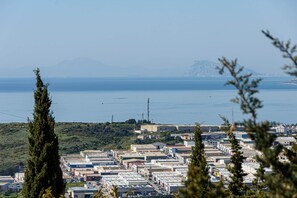 Stugans exteriör [sommar]