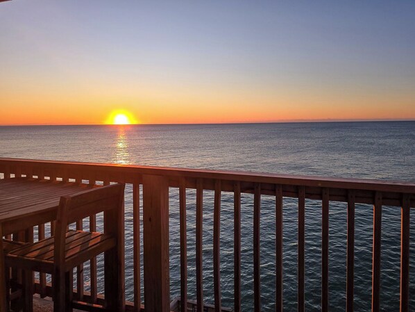 Welcome to Loggerhead Landing!