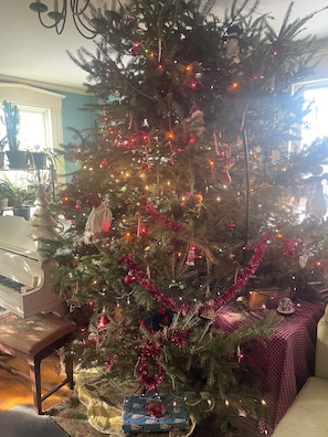 Winter tree 2024