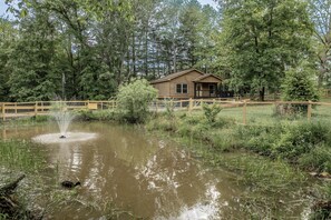 The Gertie and the Duck Pond