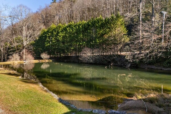 Love fishing in the pond, then this place is ideal for you no license needed.