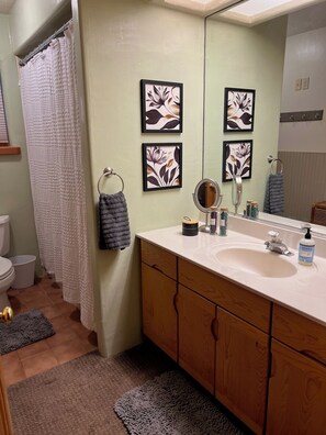 Full bathroom with shower/tub