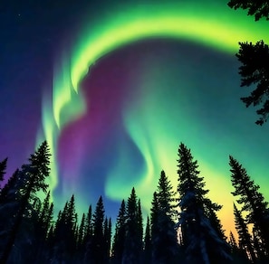 Nature, Night, Outdoors, Sky, Tree