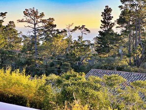 Vista desde la propiedad