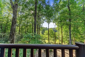 View from Deck overlooking property, field, and creek