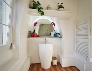 Salle de Bain (1)