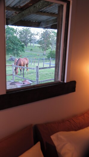 View from bedroom window