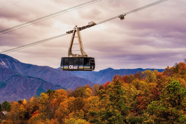 Relax inside or out and watch the Ober tram go by