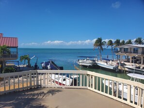From Patio Deck