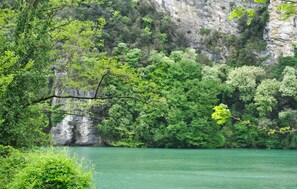 area