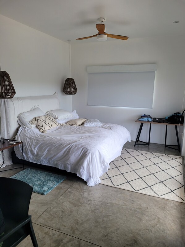 Primary bedrm with private patio, king bed, AC, large TV and desk/work space 