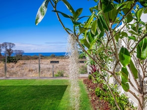 Tropical Landscaping throughout