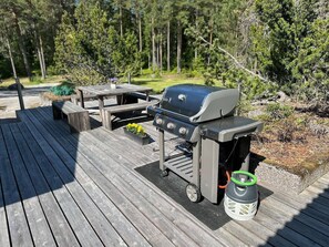 Large Weber Gas Grill