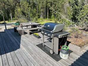 Large Weber Gas Grill