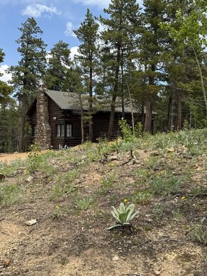 The cabin is nestled in the trees