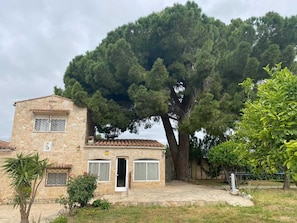 Front view