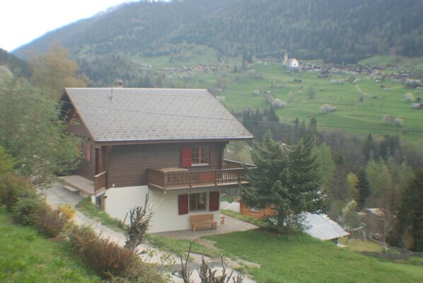 Image 4