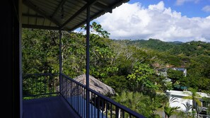 Mountain view from balcony