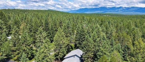 View of Whitefish Mountain Resort from the house.
