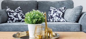 Living Room / Lounge