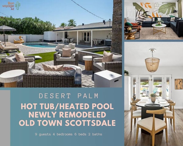 Desert Palm