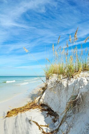 beach & Sand dunes 