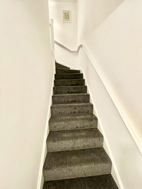 Plush carpeted stairway leading to upper bedrooms and baths