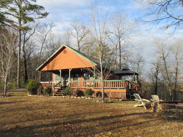 A Hasty Getaway in the winter of 2024 from the yard.  
