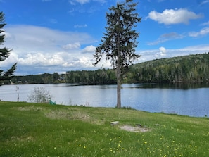Land bordering the lake