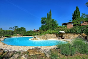 Garden, Outdoor, Pool